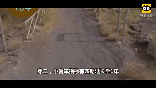 深圳车牌指标实时查询,轻松掌握车牌动态