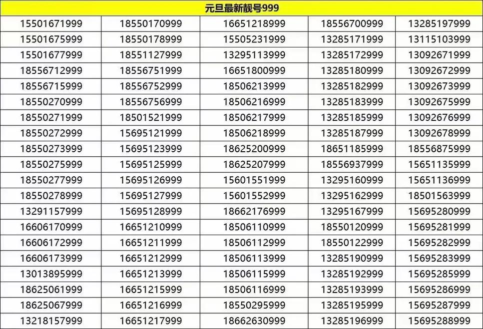 哈市车牌靓号抢购热潮，稀有靓号等你来拿！