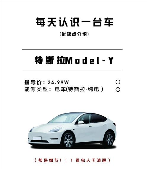 特斯拉车牌背后：一探究竟，车主身份大！