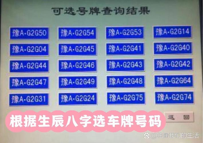 老司机亲测:这几个车牌号,哪个让你过目难忘?