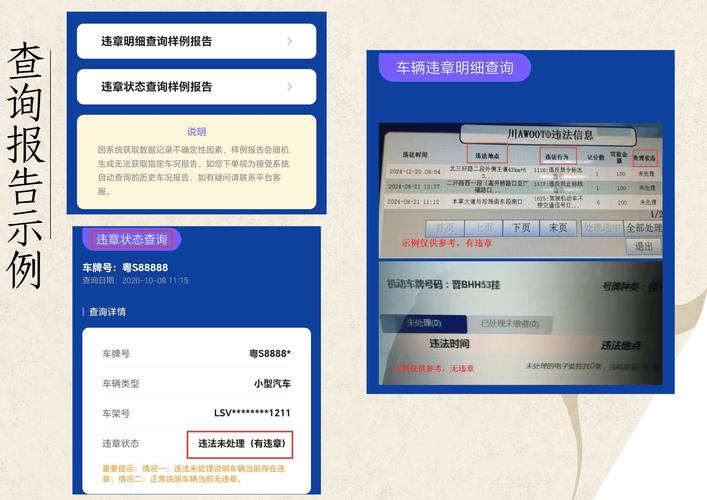 临时车牌违章查询攻略:轻松了解罚单详情