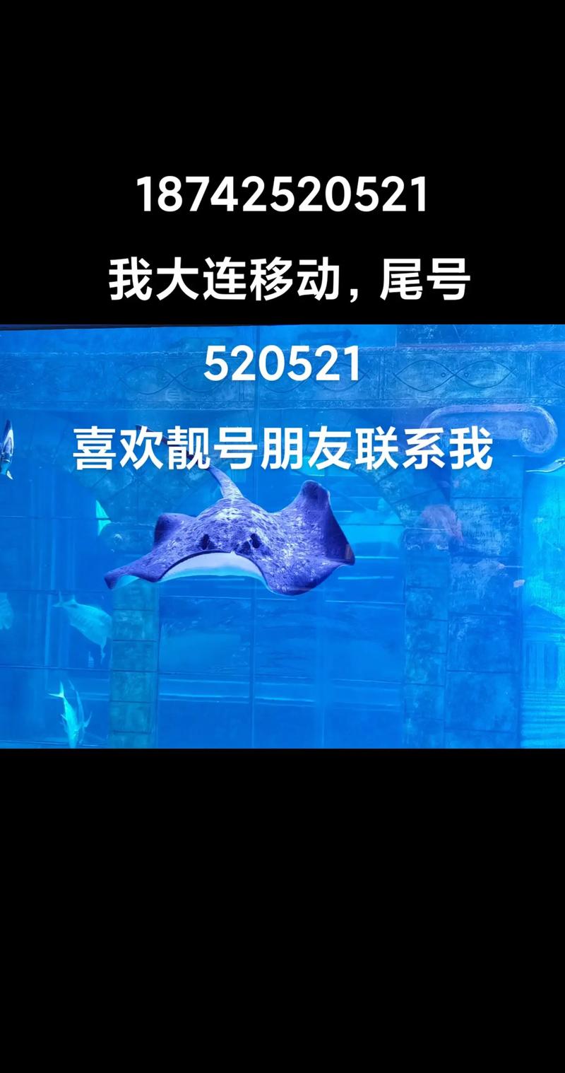 大连车牌靓号转让,传承城市美好寓意