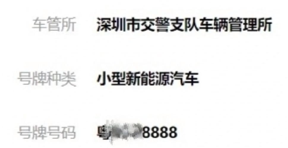 深圳车牌靓号拍卖：数字背后的故事与梦想