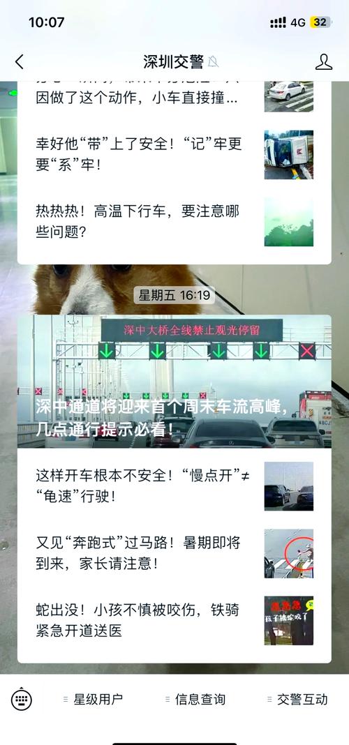 车牌丢失怎么办?紧急攻略助你找回!