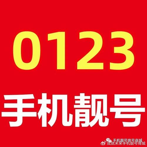 洛阳市车牌靓号竞拍风云：数字背后的故事
