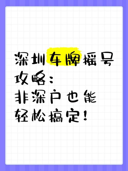 深圳车牌持有者:摇号资格之谜