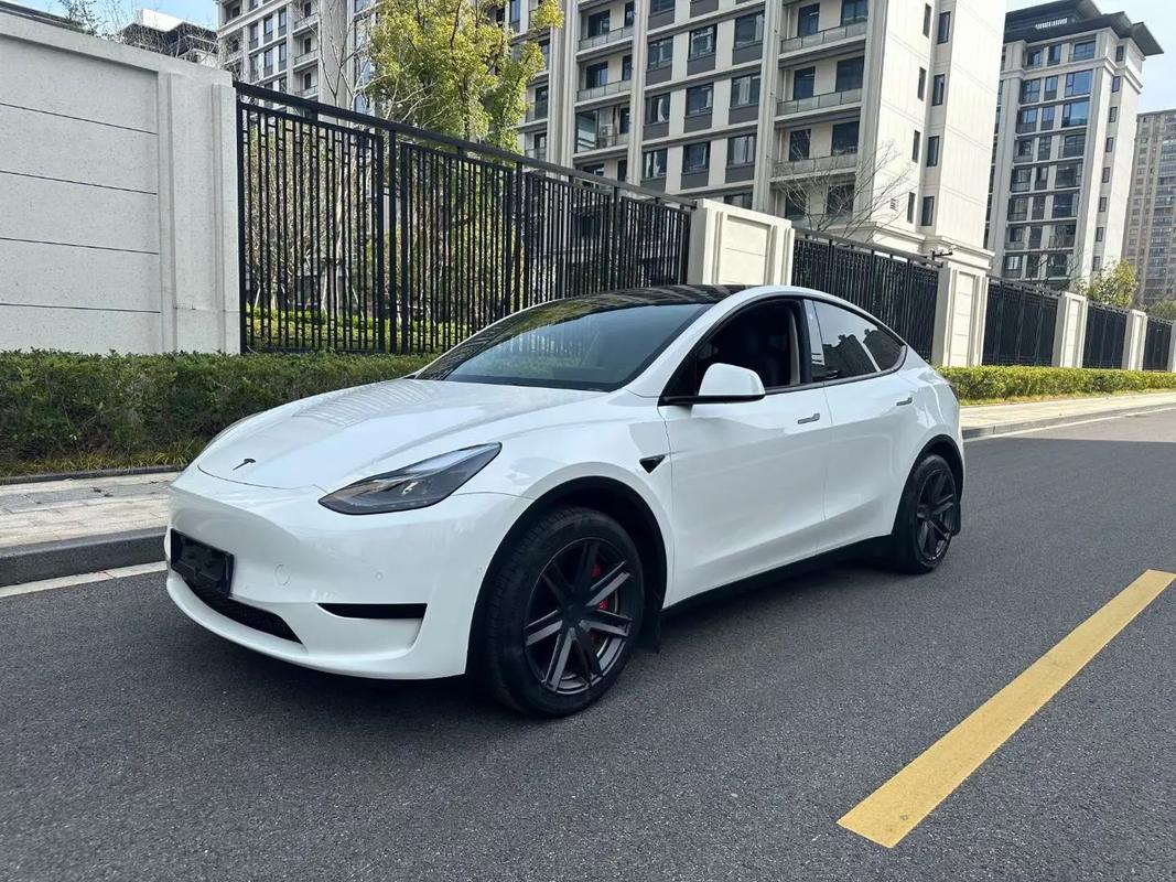 白色车牌号Y开头的车型,成为街头焦点!