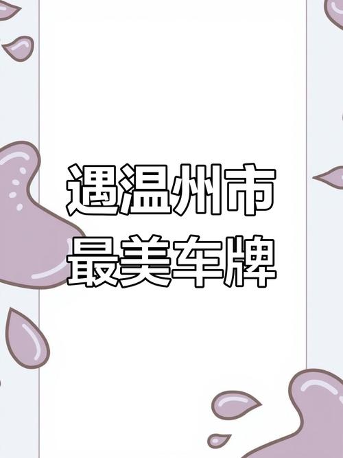 2017年4月温州车牌拍卖火爆，竞价突破10万元大关！