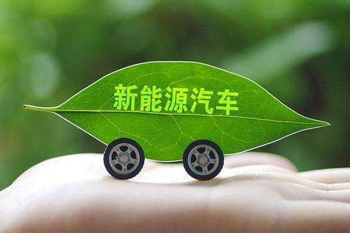 湛江新能源车牌靓号来袭，绿色出行新风尚！”