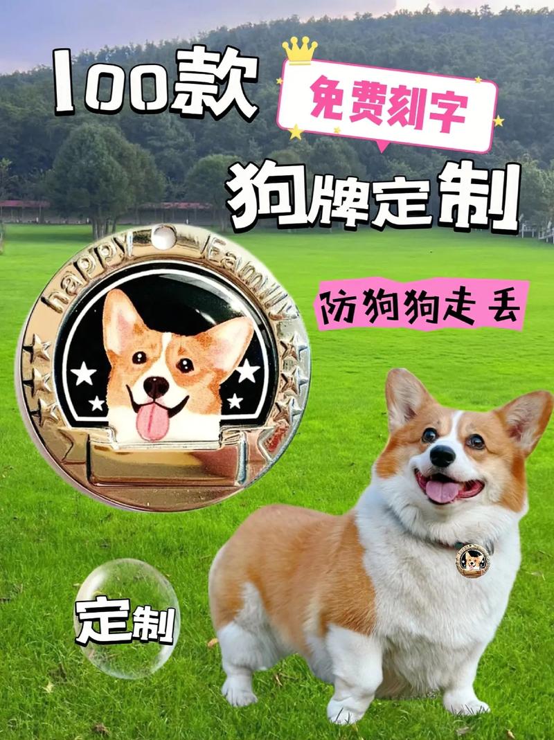 属狗车牌号怎么选？个性车牌新潮流