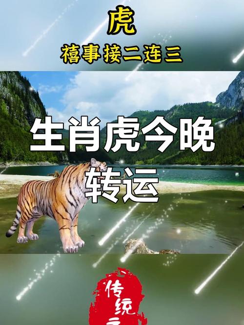 虎啸吉祥：属虎车牌号码中的热门吉祥数字