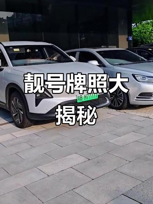 永州车牌新宠：100个靓号齐亮相，车牌界风云再起