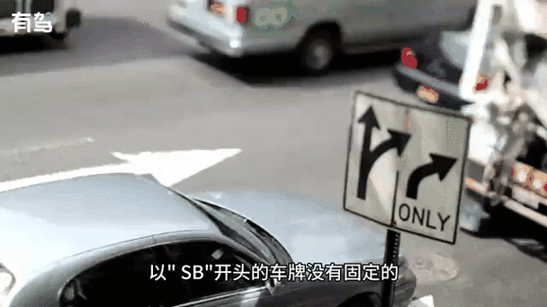 sb车牌含义：车主身份竟如此特殊！