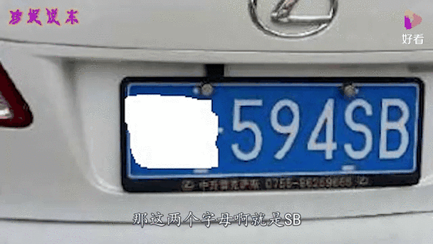 sb车牌含义：车主身份竟如此特殊！
