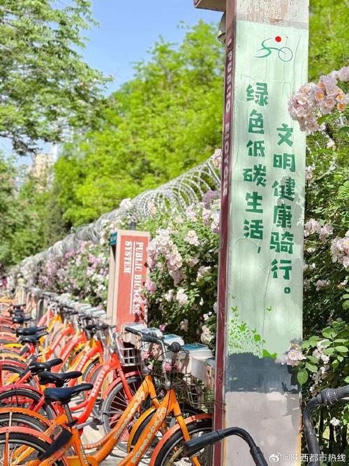 解锁绿色出行新潮流，自行车存车牌标志引领时尚潮流！