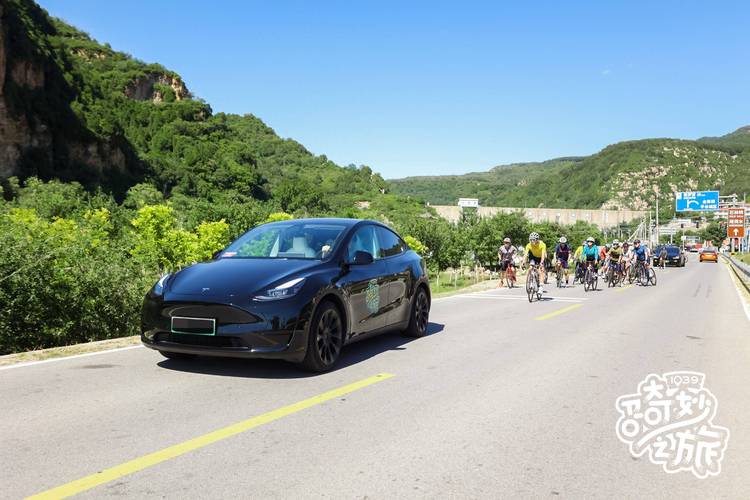 解锁绿色出行新潮流，自行车存车牌标志引领时尚潮流！