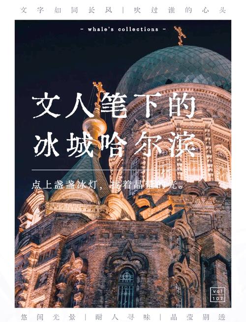 冰城风情：哈尔滨车牌背后的地域魅力