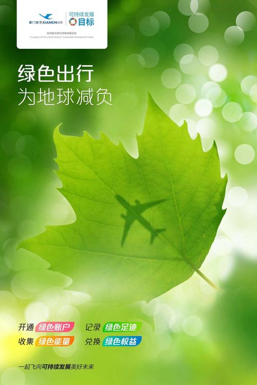 浙江新能源车牌浙B：绿色出行新风尚，引领城市绿色发展潮流