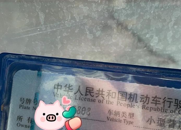 新疆车牌靓号火热出炉！抢购新疆车牌吉祥号码，尽享尊贵出行体验！