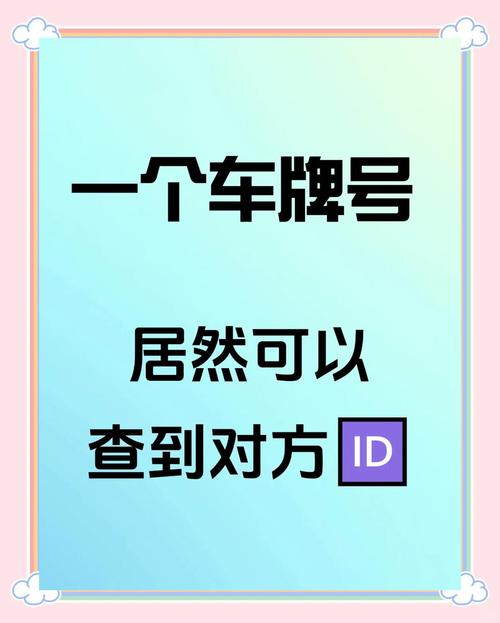 一查便知！车牌照查询车主的便捷途径！