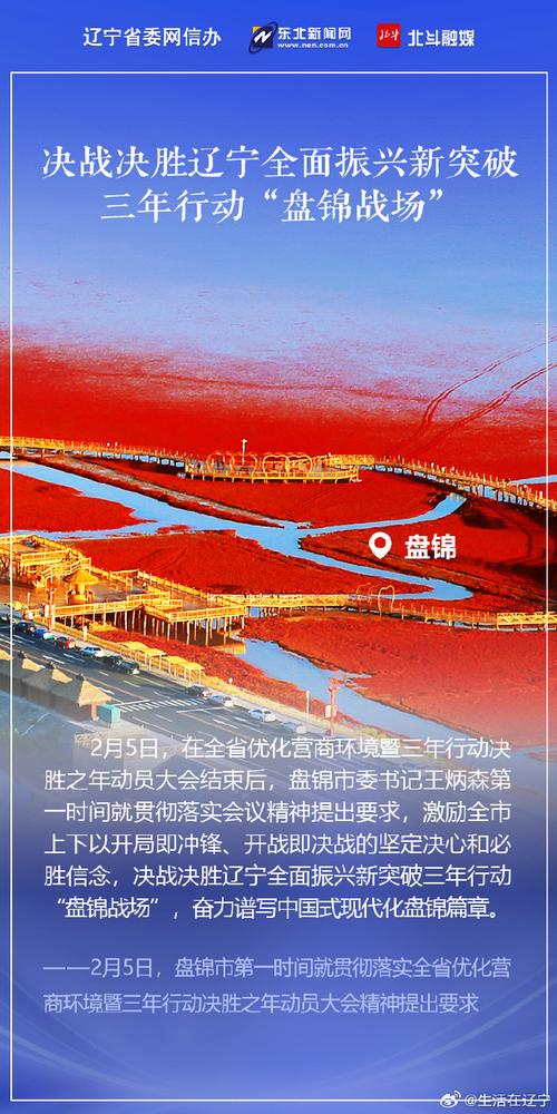辽宁号牌见证：大连自贸区发展新篇章