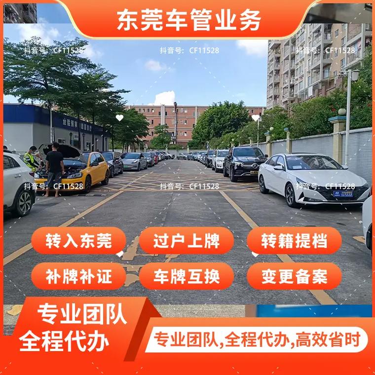 东莞车牌靓号投放引热潮，车主们争相竞拍