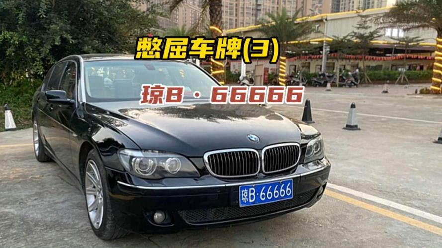 太康车牌靓号666，车牌中的王者风范