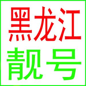 哈尔滨车牌靓号连号查询：最新热门靓号尽在掌握