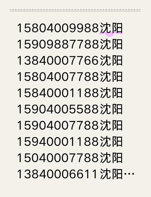 沈阳车牌靓号热求中，一号难求