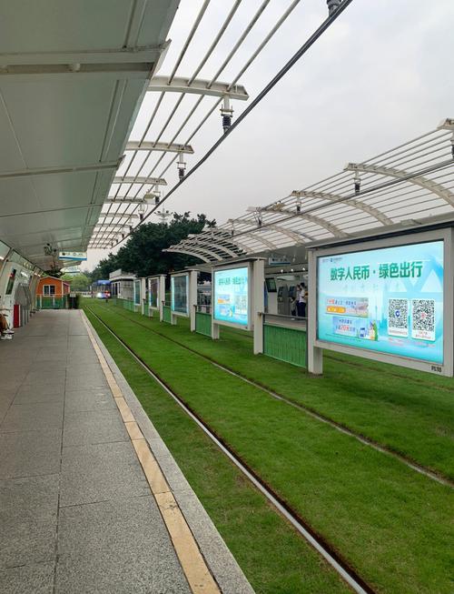 粤A车牌靓号电动车：绿色出行新潮流，车牌号竟成焦点！