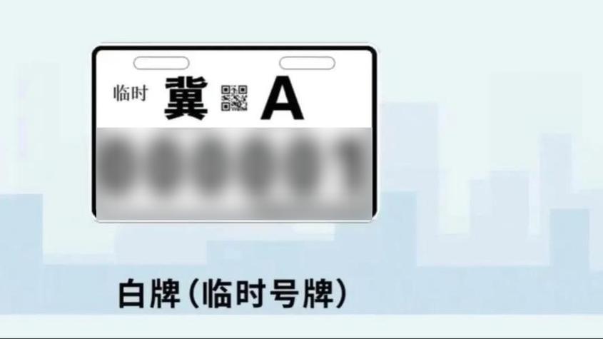 香港车牌：黄牌白牌背后的权益差异与热门关注