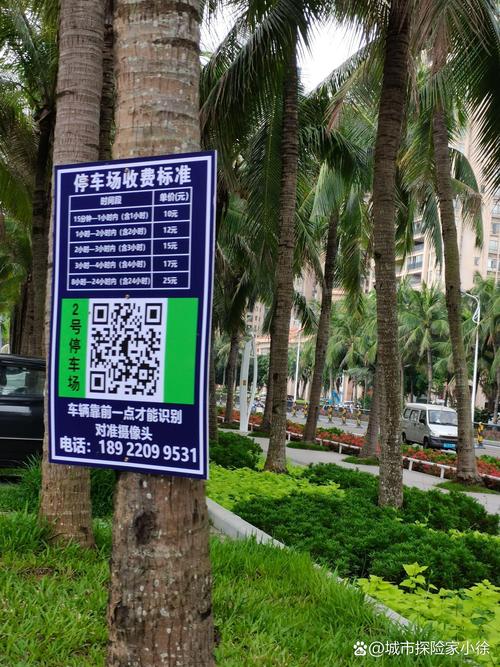 湛江靓号车牌投放：城市新地标，车牌新潮流