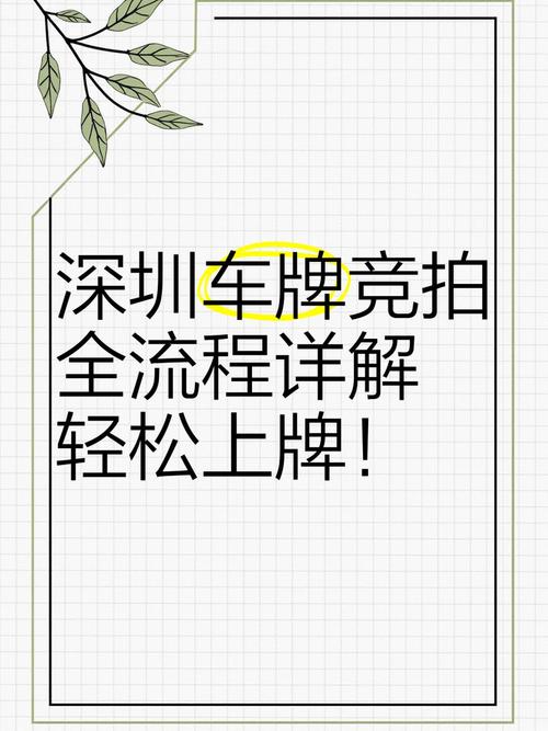 深圳车牌最新政策：如何应对车牌摇号和竞拍新规定？