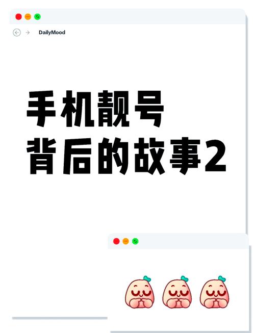 淅川奇遇：车牌靓号电话背后的神秘故事