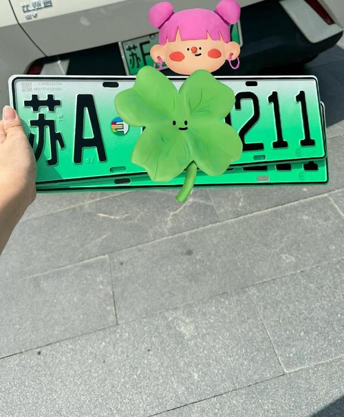 电动车可以换车牌吗?车牌更换新规!