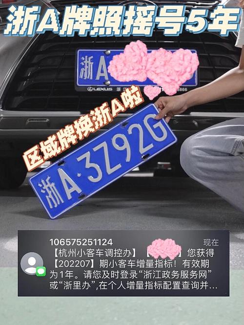 杭州车牌指标抢夺战!72次申请终迎幸运车主