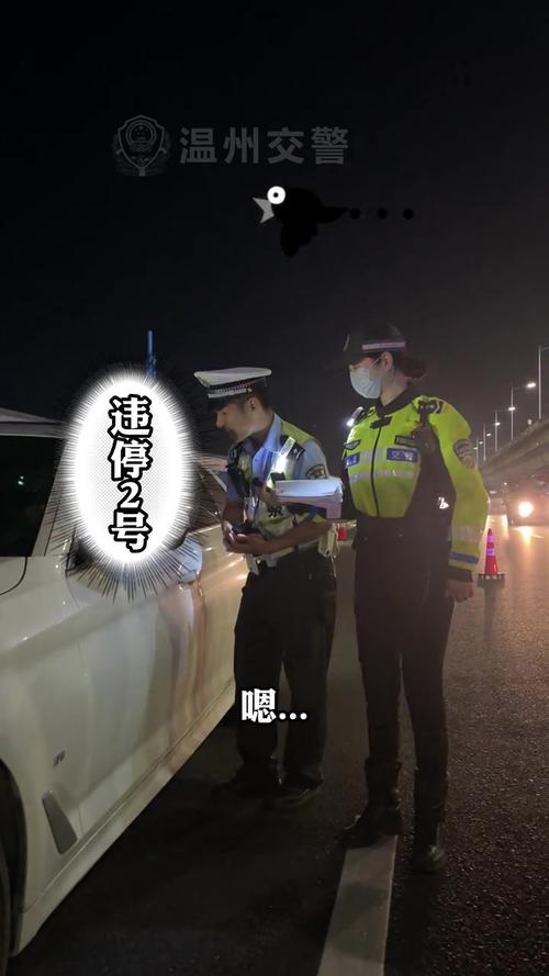 外地车牌上高架,上海交警严查违停
