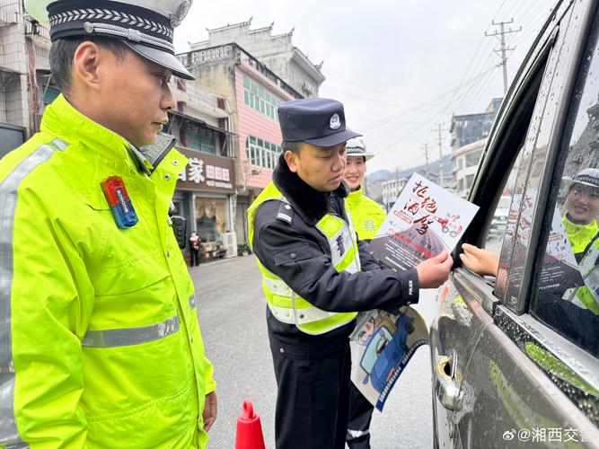 车牌特勤:交警神秘力量守护城市安全