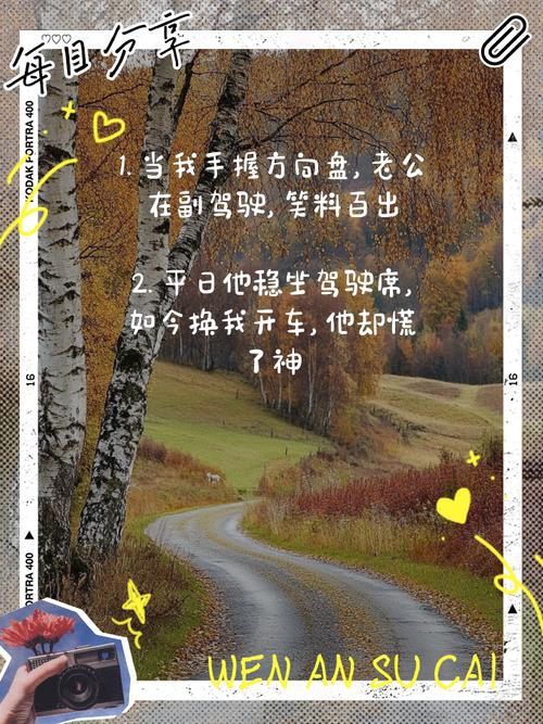 极品车牌号背后的老司机传奇:驾驭命运,驰骋人生