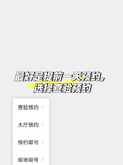 车牌照办理:从提交到到手,仅需几分钟!