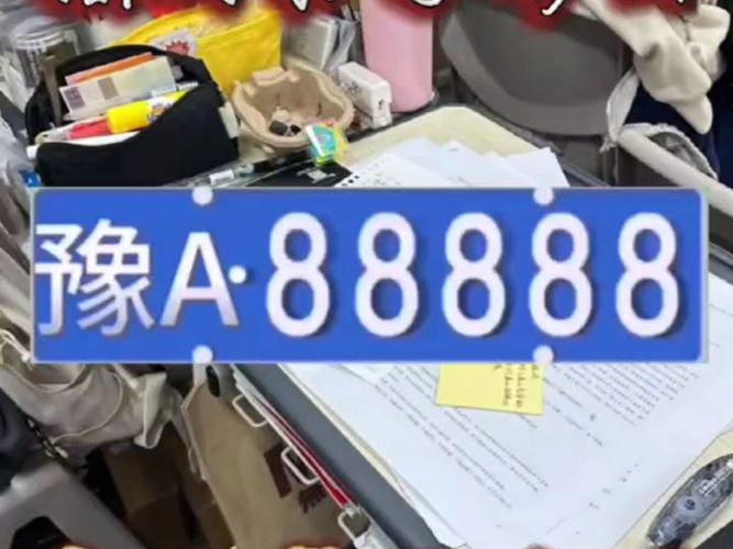 河南济源车牌豫D88888”惊现街头,车主身份成谜!