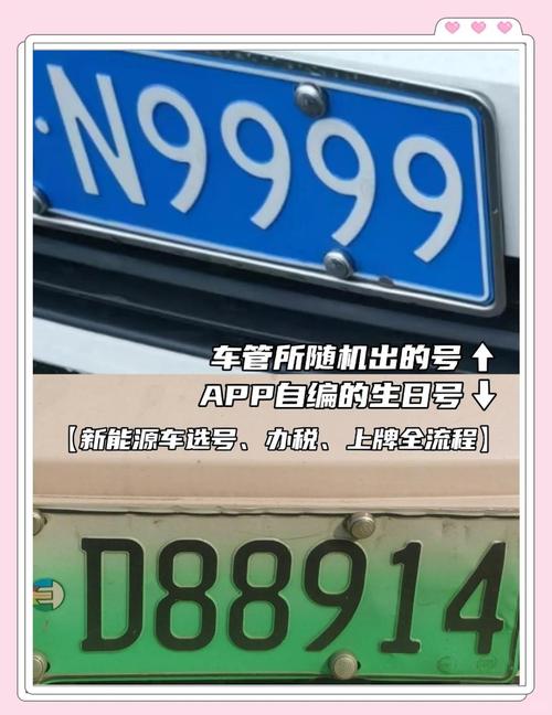 一招轻松搞定!教你视频车牌号打码技巧
