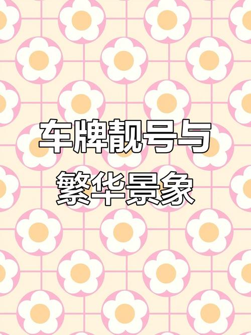 探寻济南车牌靓号背后的故事:车牌服务点里的温馨瞬间