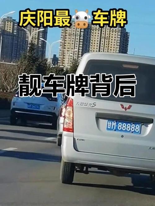 C牌号王:探寻独特车牌背后的故事与价值