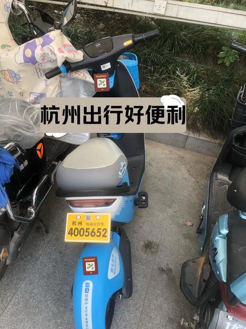 杭州新规:电瓶车车牌号改革,车主们如何应对?