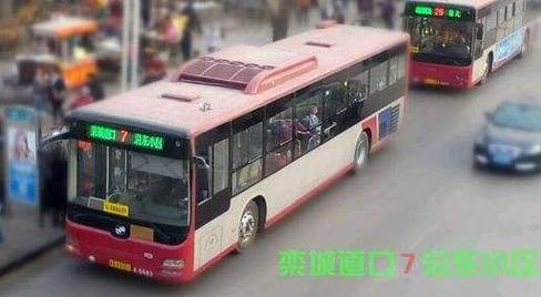 石家庄车牌靓号竞拍风云:数字传奇背后的故事