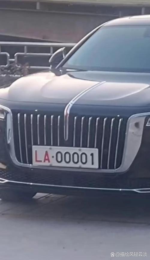 神秘部队!lx车牌背后藏有何等神秘力量?