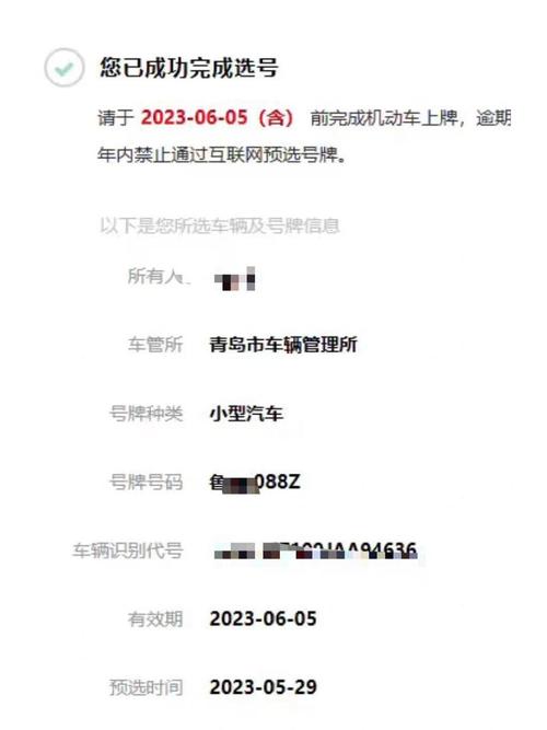 12123,车牌中的靓号传奇