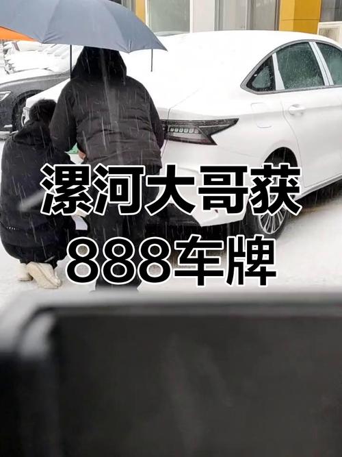 河南漯河惊现靓号车牌,车主身份引网友热议!”