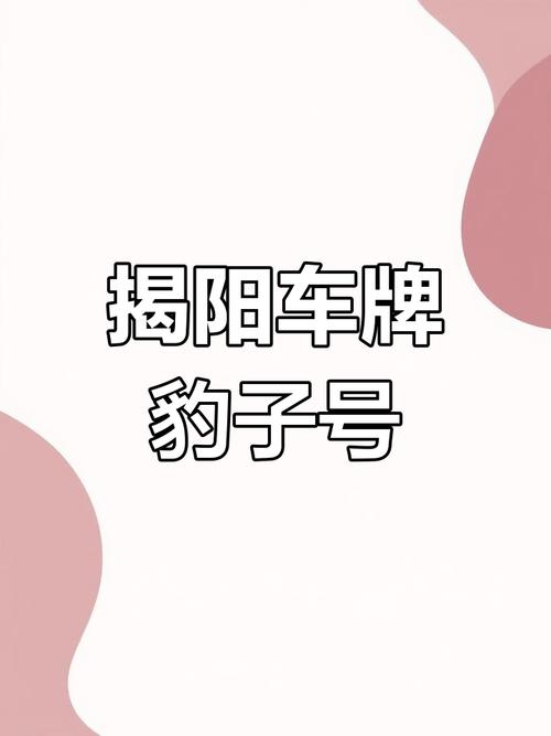 揭阳车牌靓号:探寻车牌背后的故事与价值